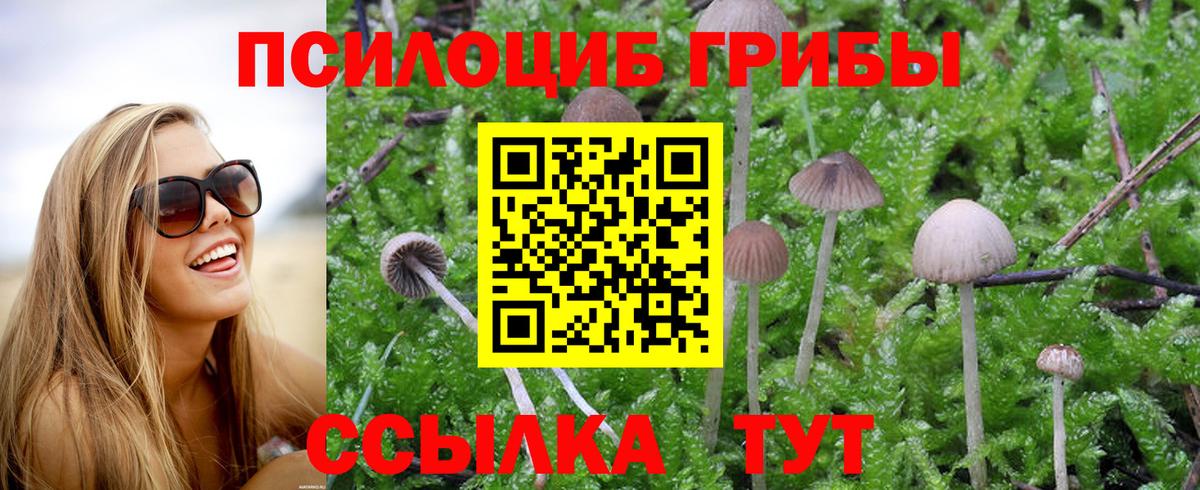 Галлюциногенные грибы Psilocybe  Псилоцибиновые грибы Magic Shrooms  Сухой Лог  Вход с VPN 