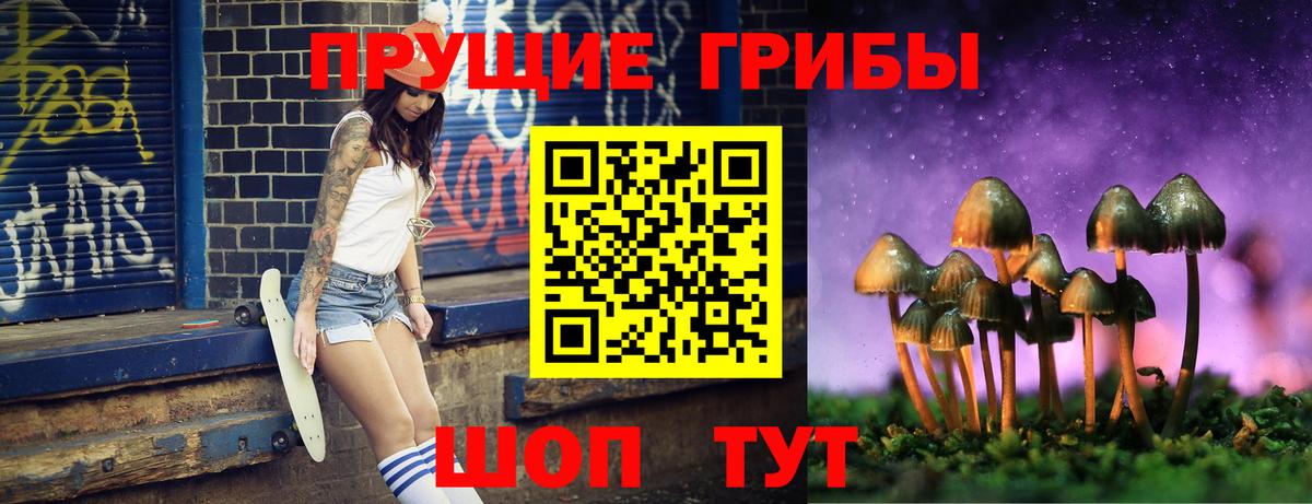 Псилоцибиновые грибы Psilocybine cubensis Сухой Лог